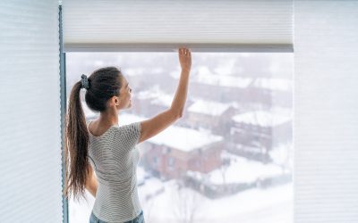 Learn How Blind Supplies Berwick VIC Can Transform Your Home Comfort and Privacy