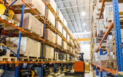 Secure Your Office Assets With Business Storage Solutions Raymond Terrace, NSW Trusted by Locals